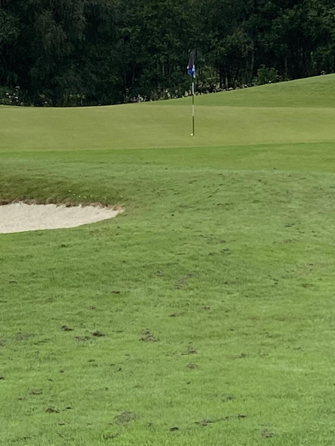 Tee shot on 11th par 3 (Photo submitted by Graham74 on 07/12/2024)