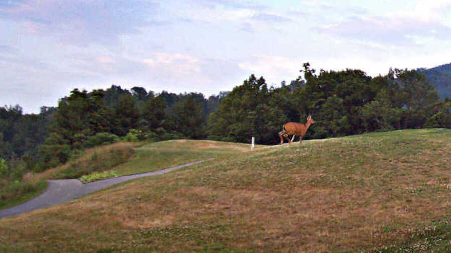 Sleepy Hollow GC