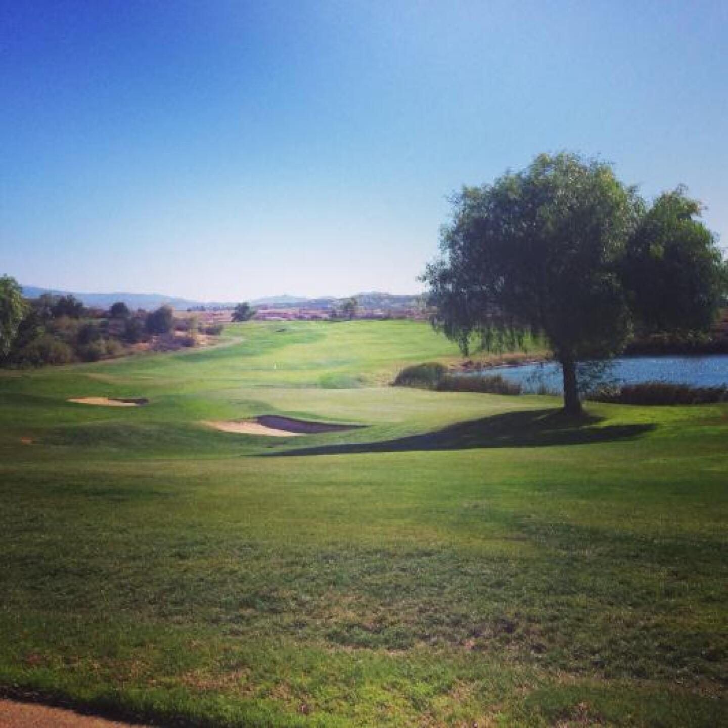 Back side of the 18th hole (Photo submitted by u000007772819 on 11/14/2013)