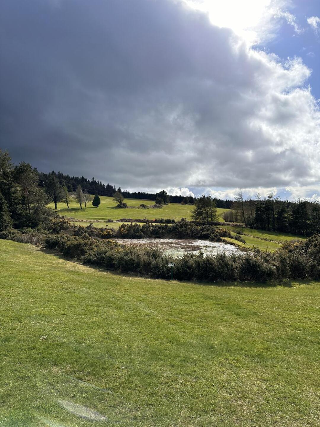 (Photo submitted by u314165746007 on 03/29/2025)