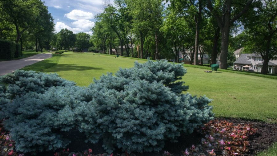 Leawood South CC