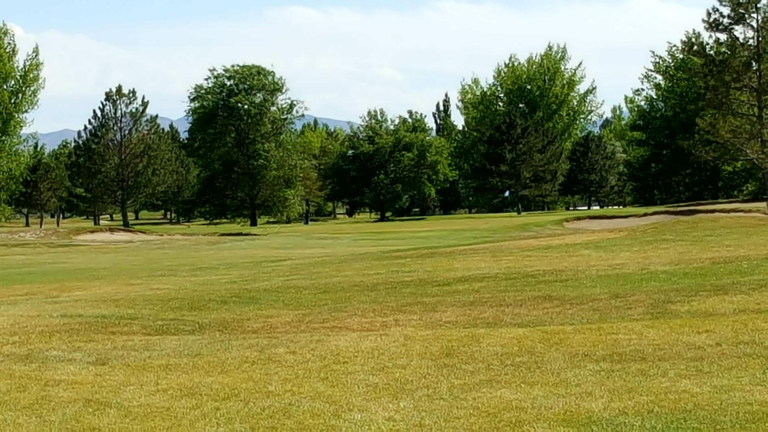 (Photo submitted by GreerGolf on 06/21/2018)