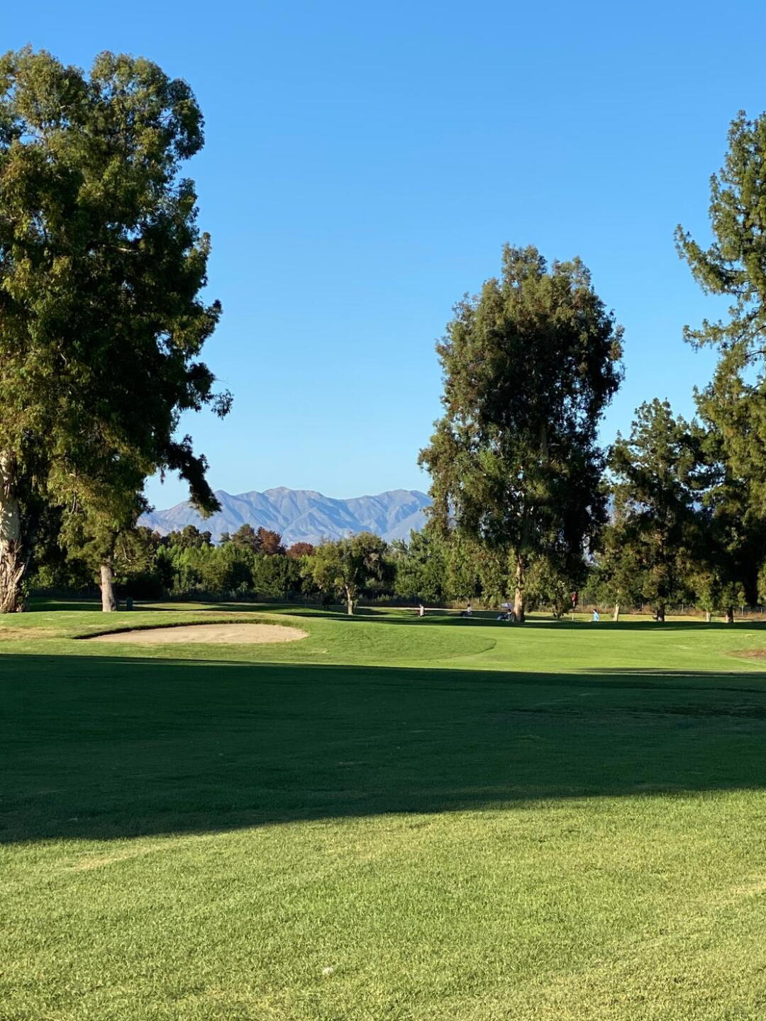 (Photo submitted by PaulBGolf on 08/19/2020)