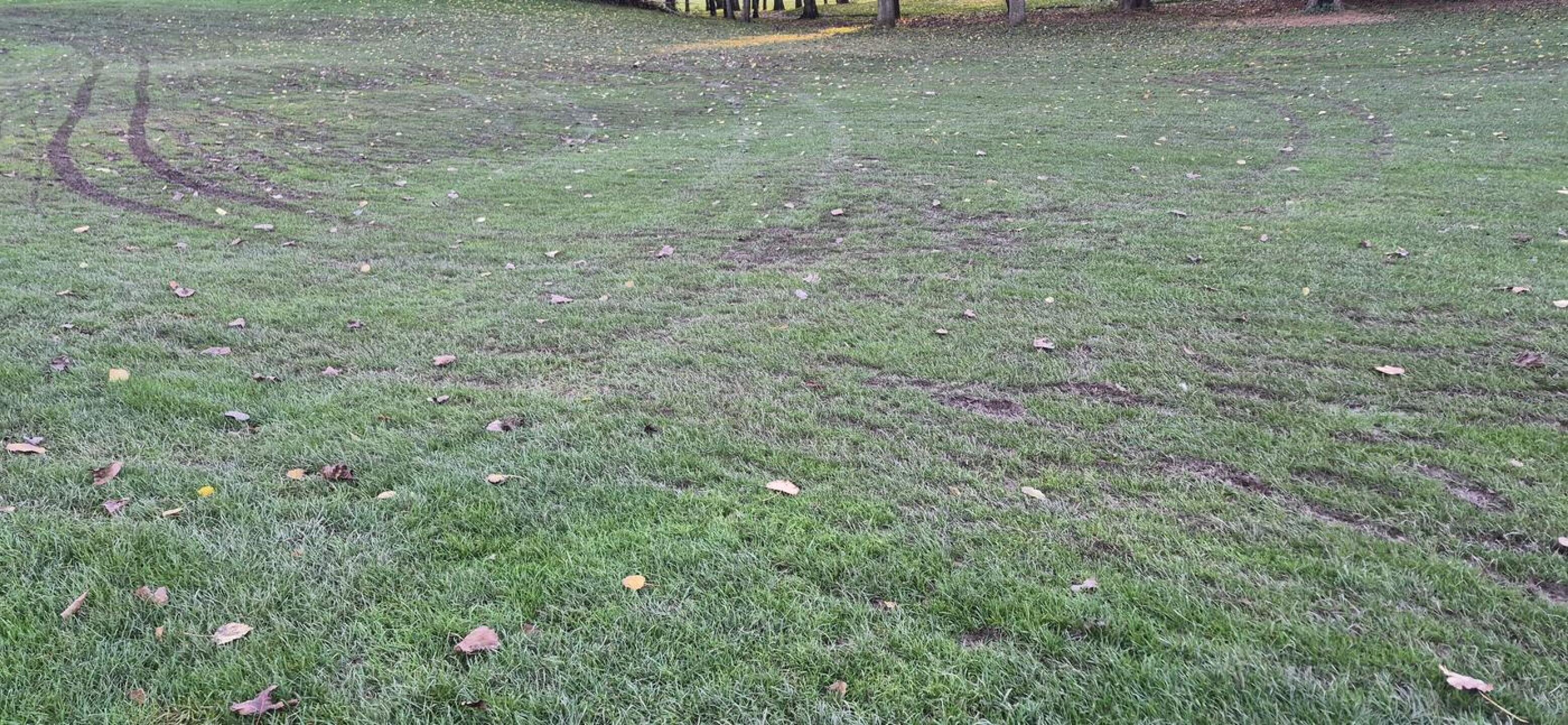 (Photo submitted by t954954725 on 11/03/2025)