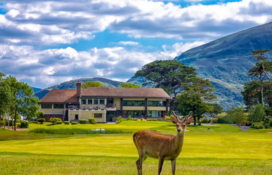 Killarney Golf and Fishing Club - Killeen in Killarney, County Kerry,  Ireland | GolfPass