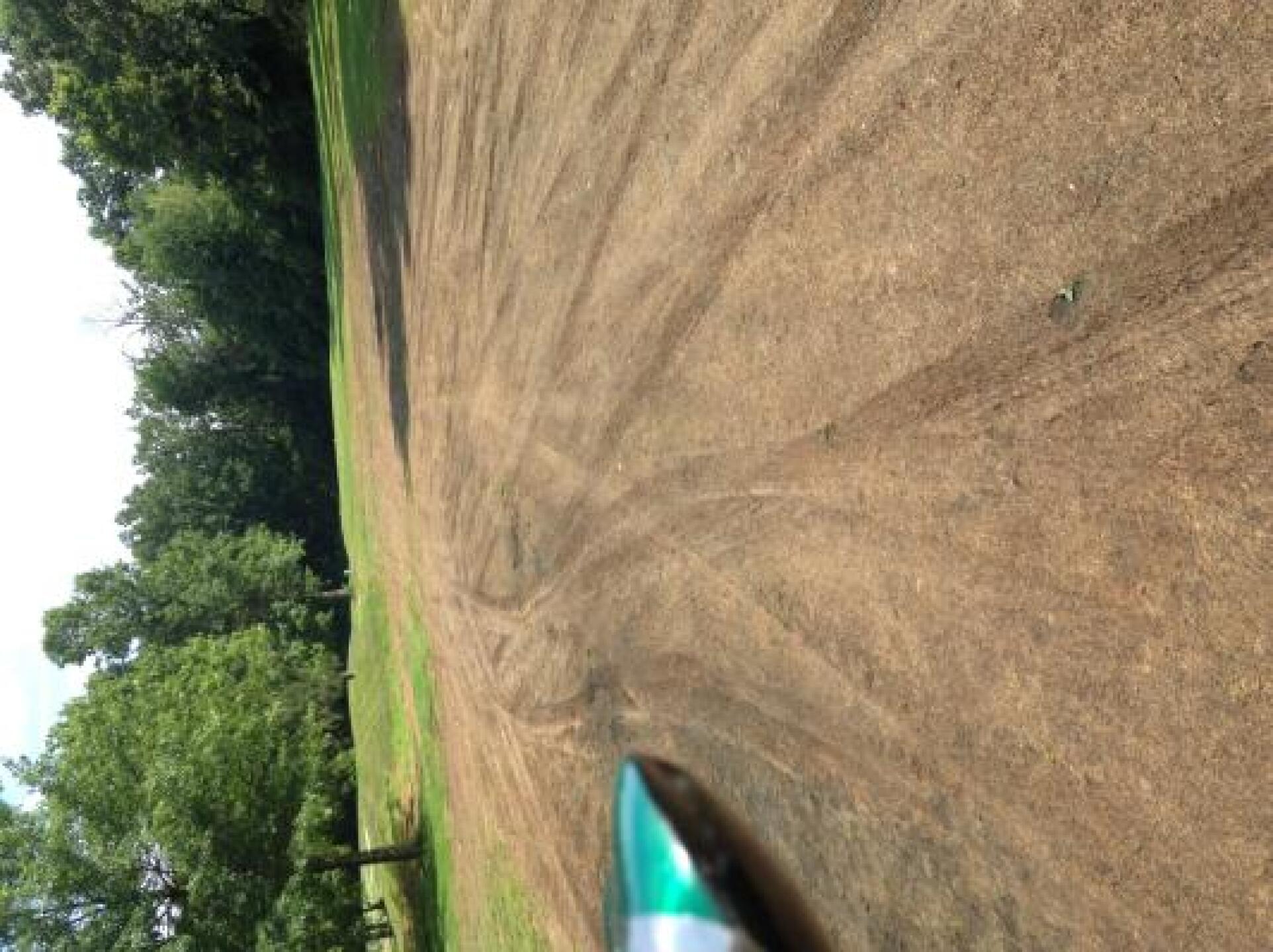 The "fairway" (Photo submitted by u000007351024 on 07/22/2013)