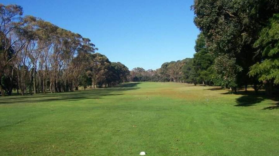 Cerberus GC