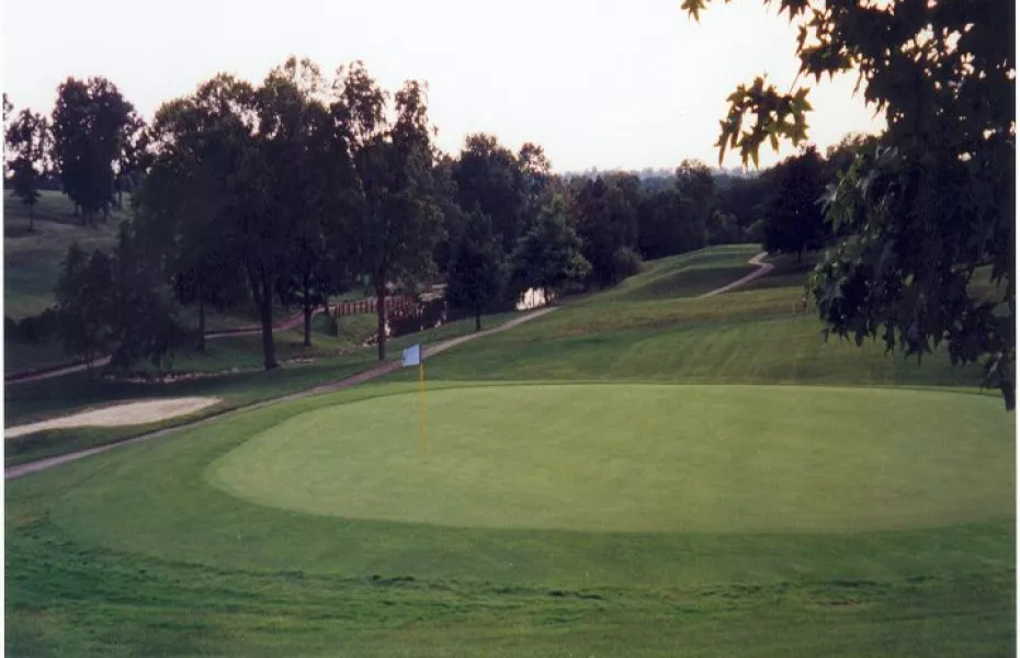 Tanglewood GC: #12