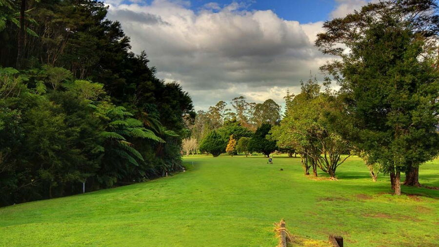 Mercury Bay GCC: #5