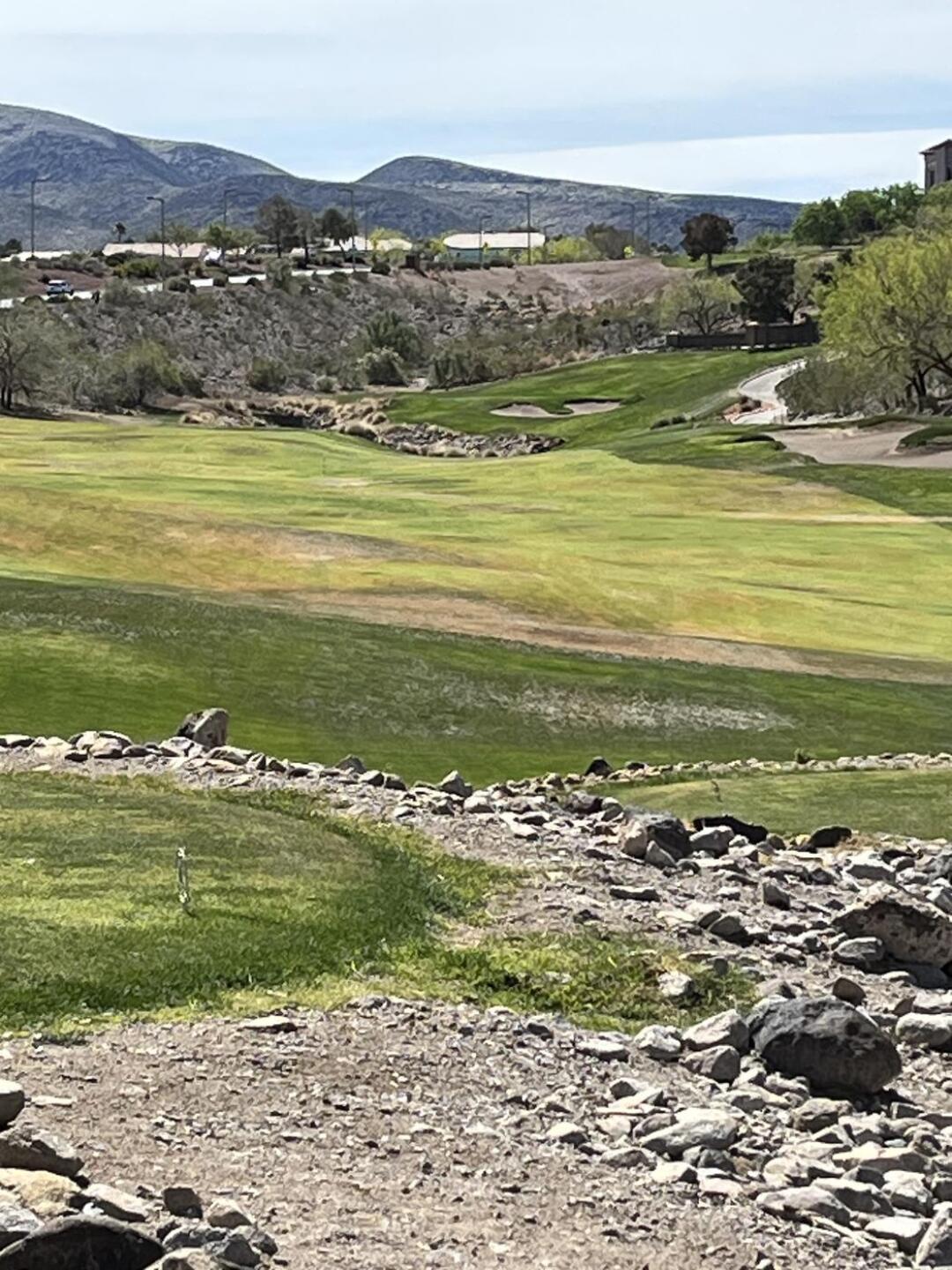 (Photo submitted by soulmate on 04/25/2023)