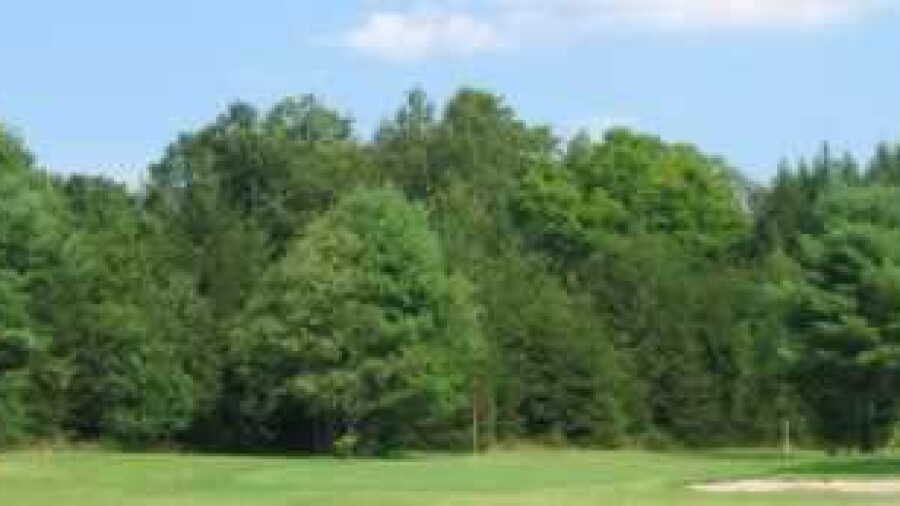 Maple Estate GCC