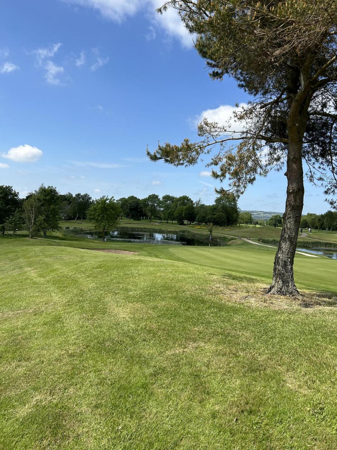 (Photo submitted by carsportmad1 on 06/02/2024)