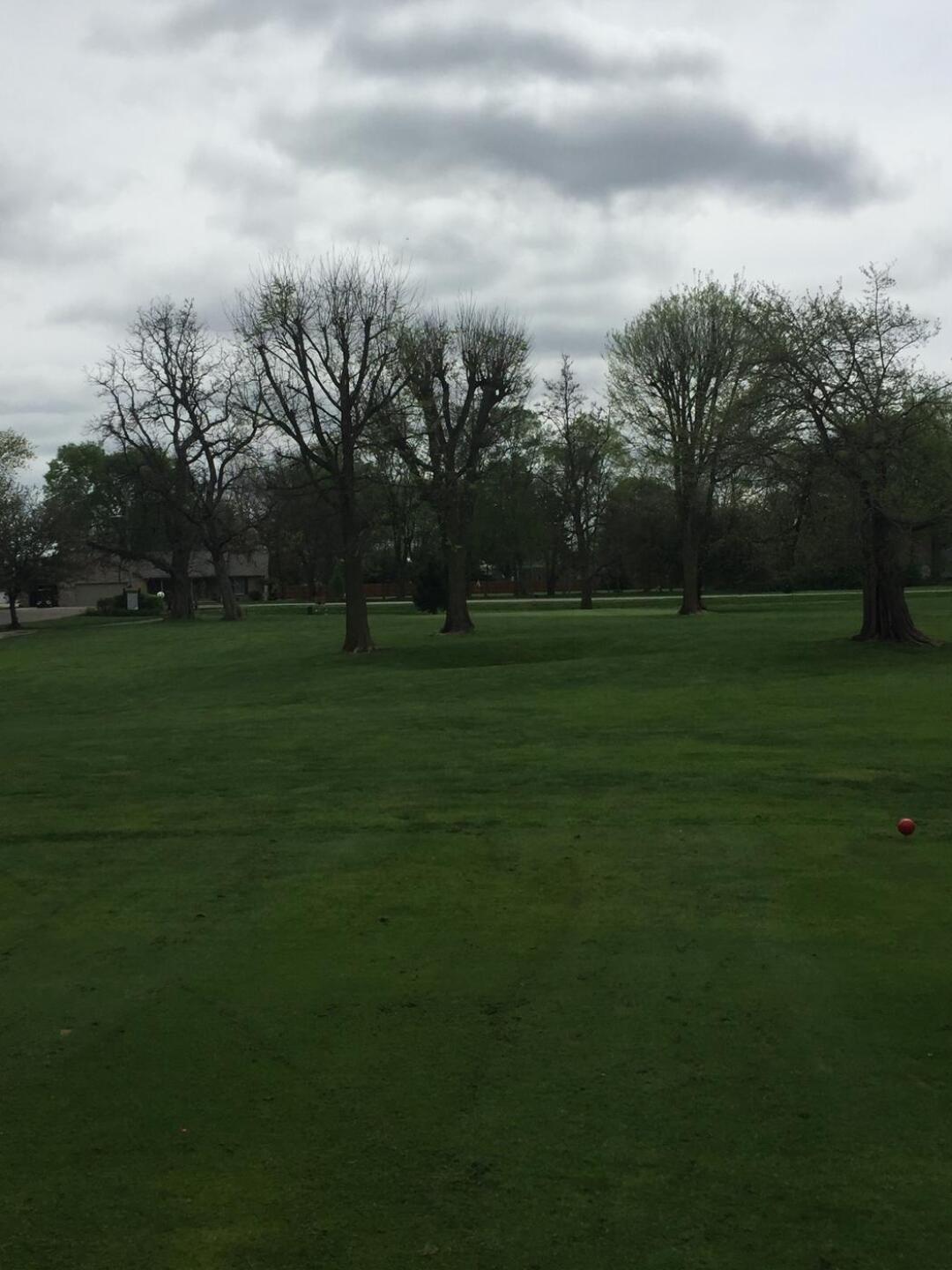#2 from tee, trees blocking green (Photo submitted by DrOldSchool on 04/21/2017)