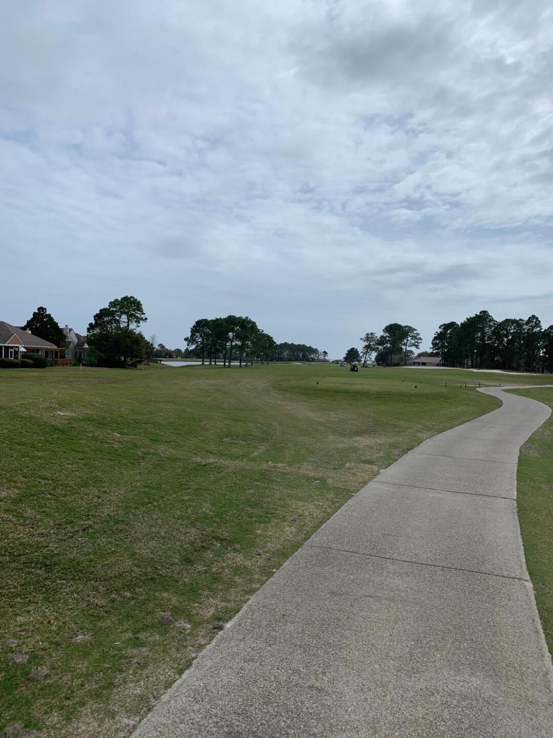 (Photo submitted by u314159769893 on 03/10/2020)