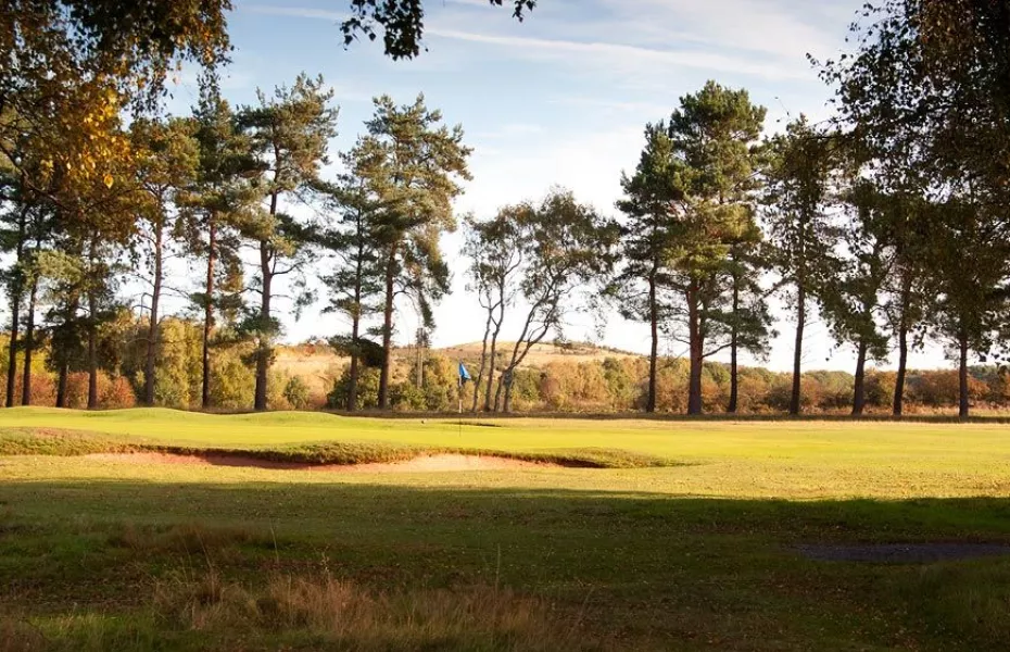 Sherwood Forest GC: #16