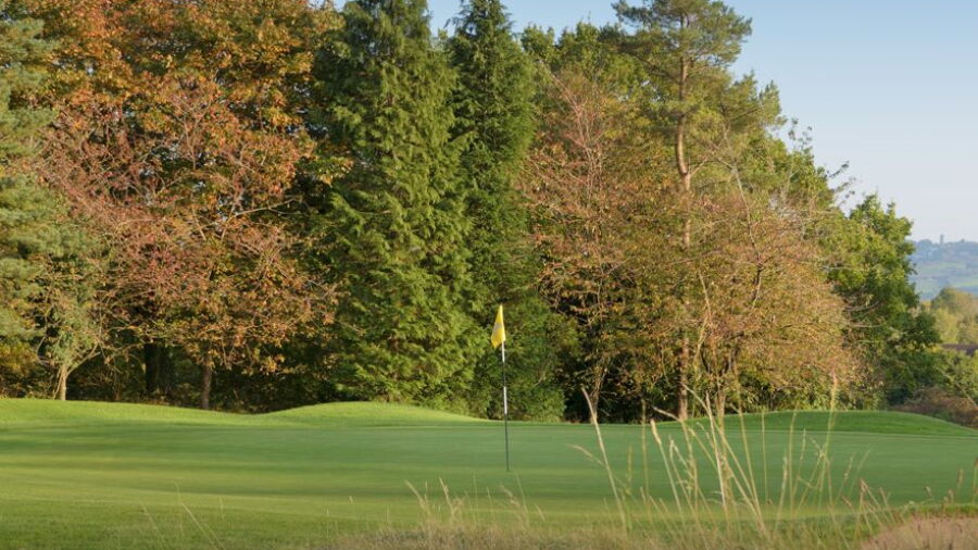 Long Ashton GC: #1
