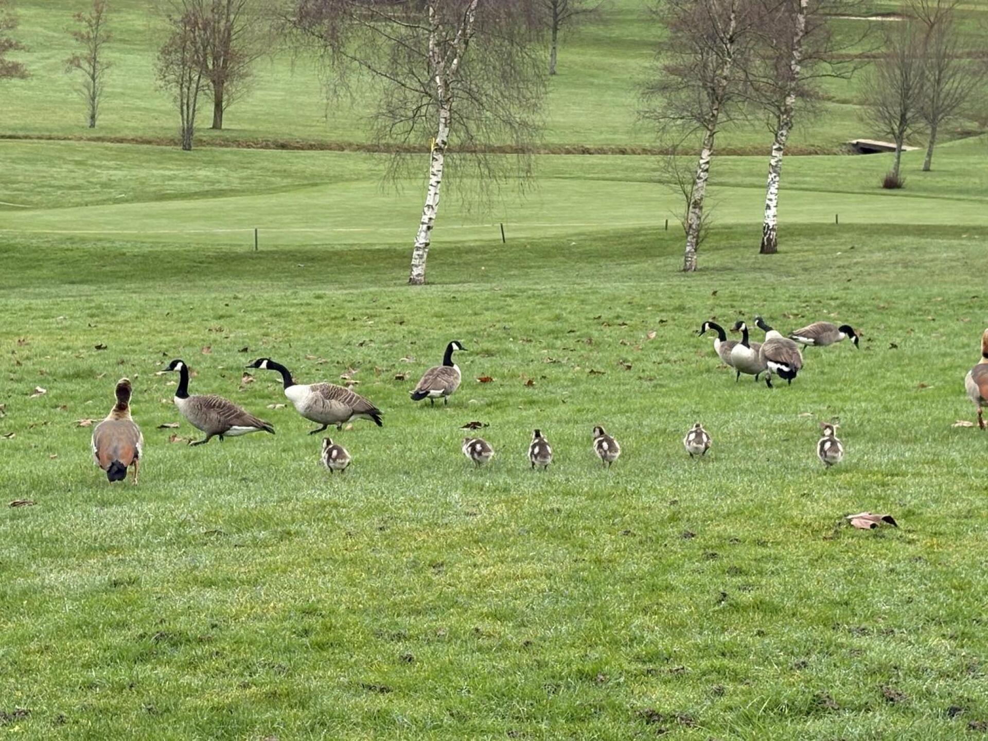 (Photo submitted by sjtoop24 on 03/02/2026)