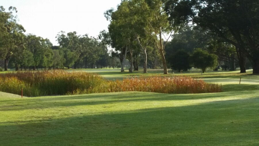 Pinjarra GC