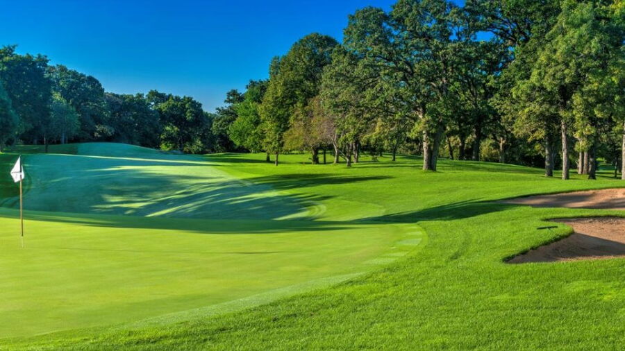 Elgin CC