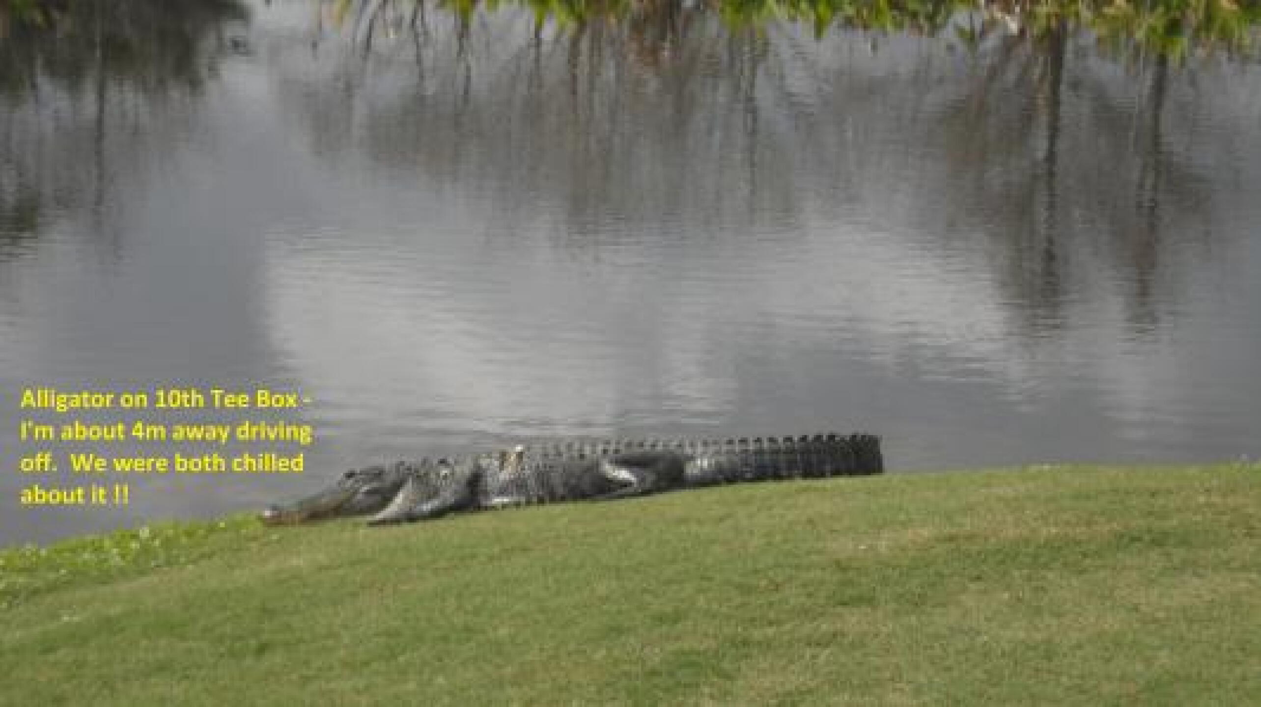 (Photo submitted by stevehobson on 02/09/2014)