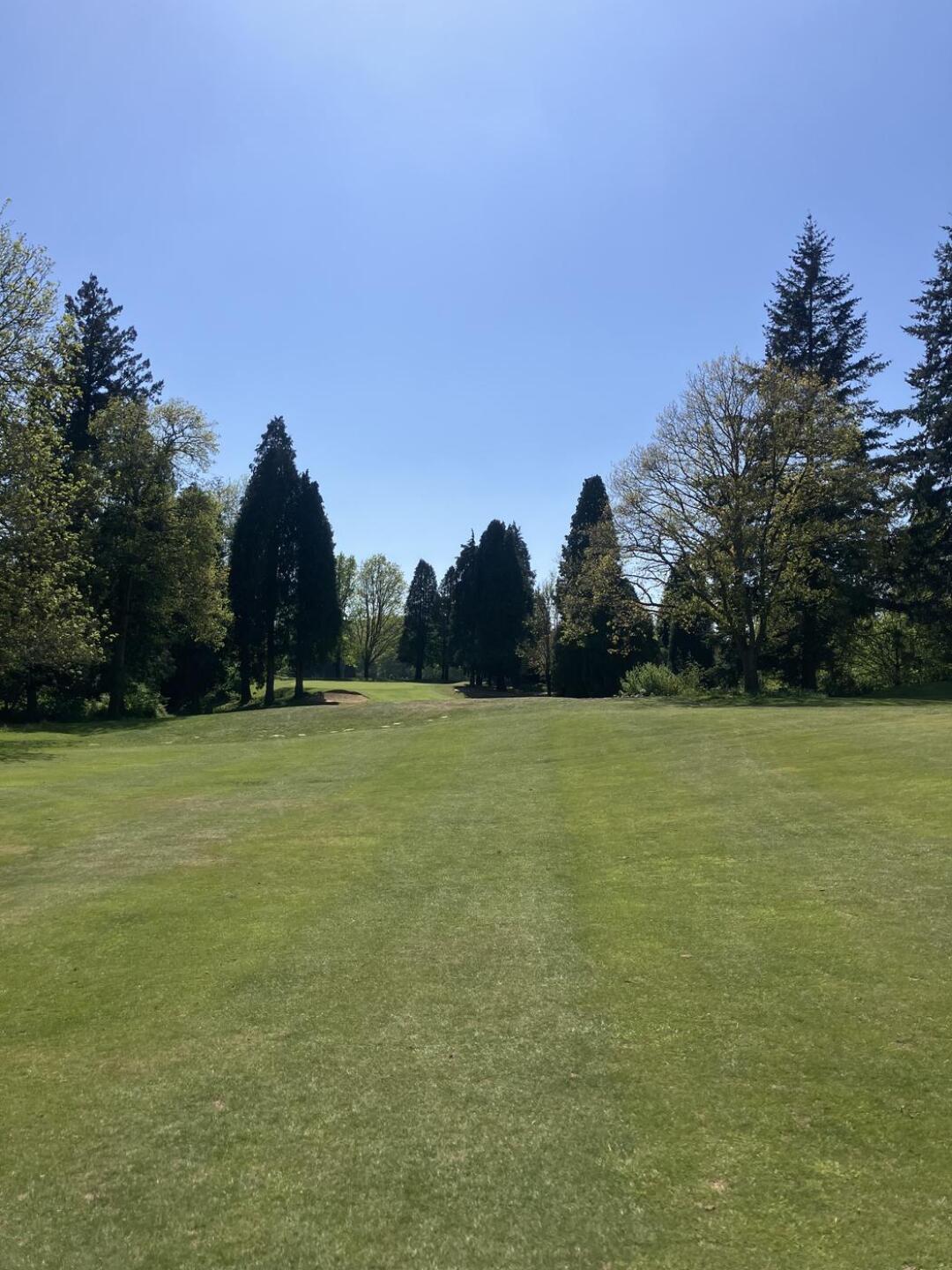 (Photo submitted by Linchy on 05/03/2026)