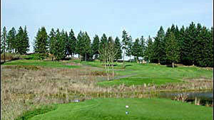 Mallard Creek #12
