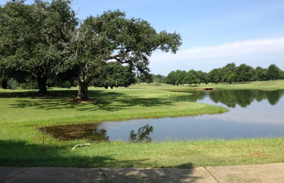 Gemstone Plantation CC