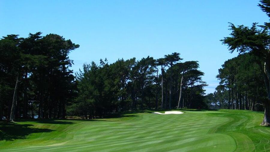 TPC Harding Park - Harding: #14