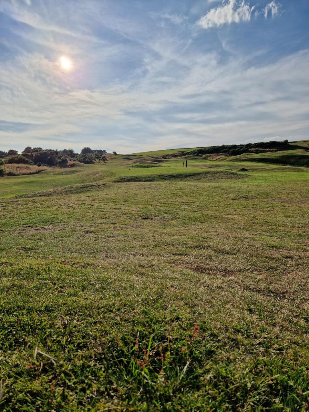 (Photo submitted by u314164255384 on 07/12/2023)