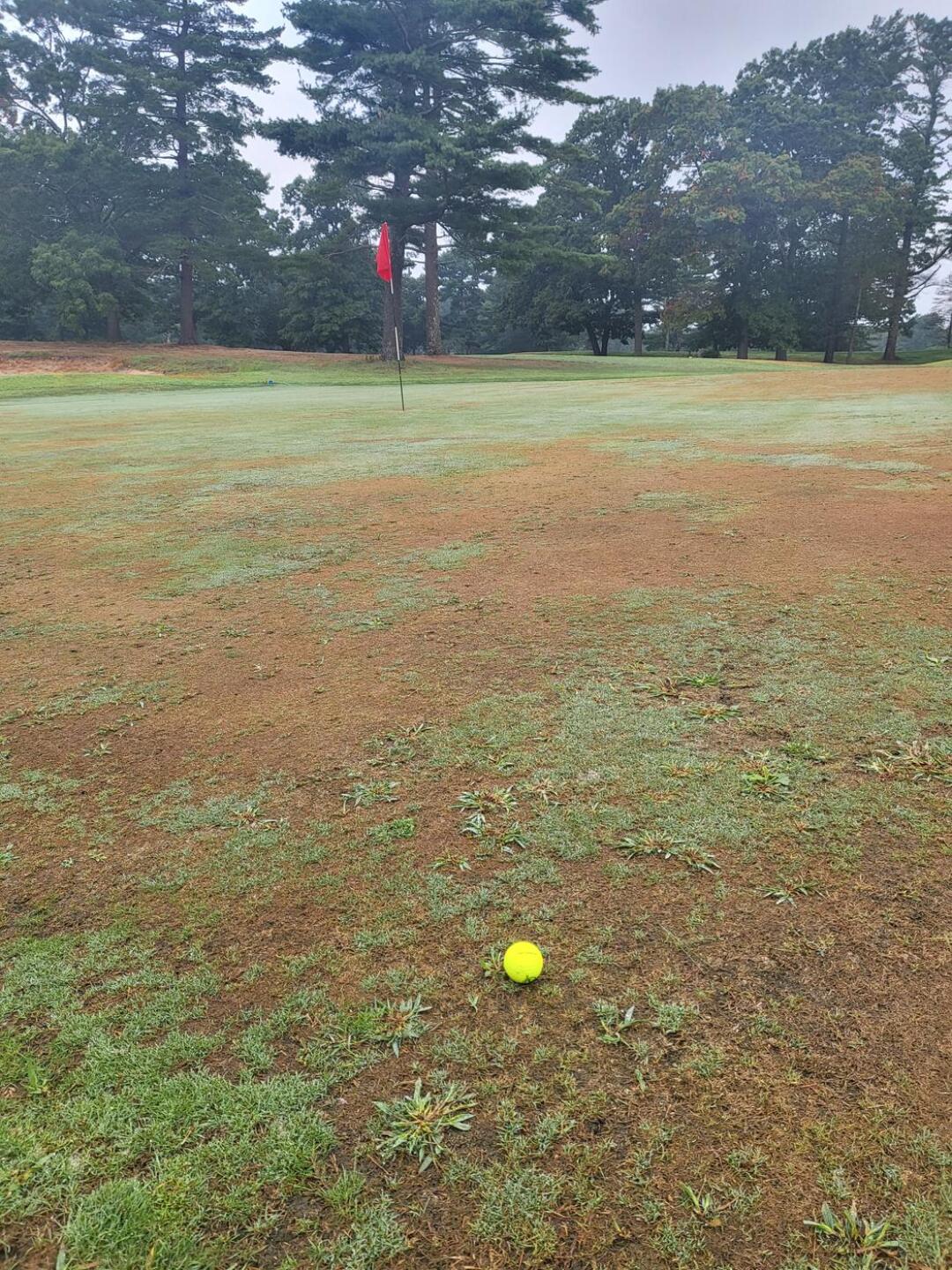 (Photo submitted by BRYANOROURKE on 08/29/2022)