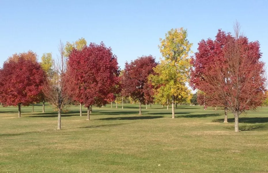 Walters Ridge at Pheasant Ridge