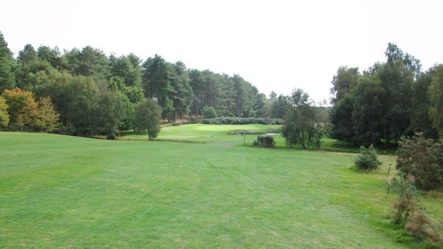 Open fairway at Moors Valley
