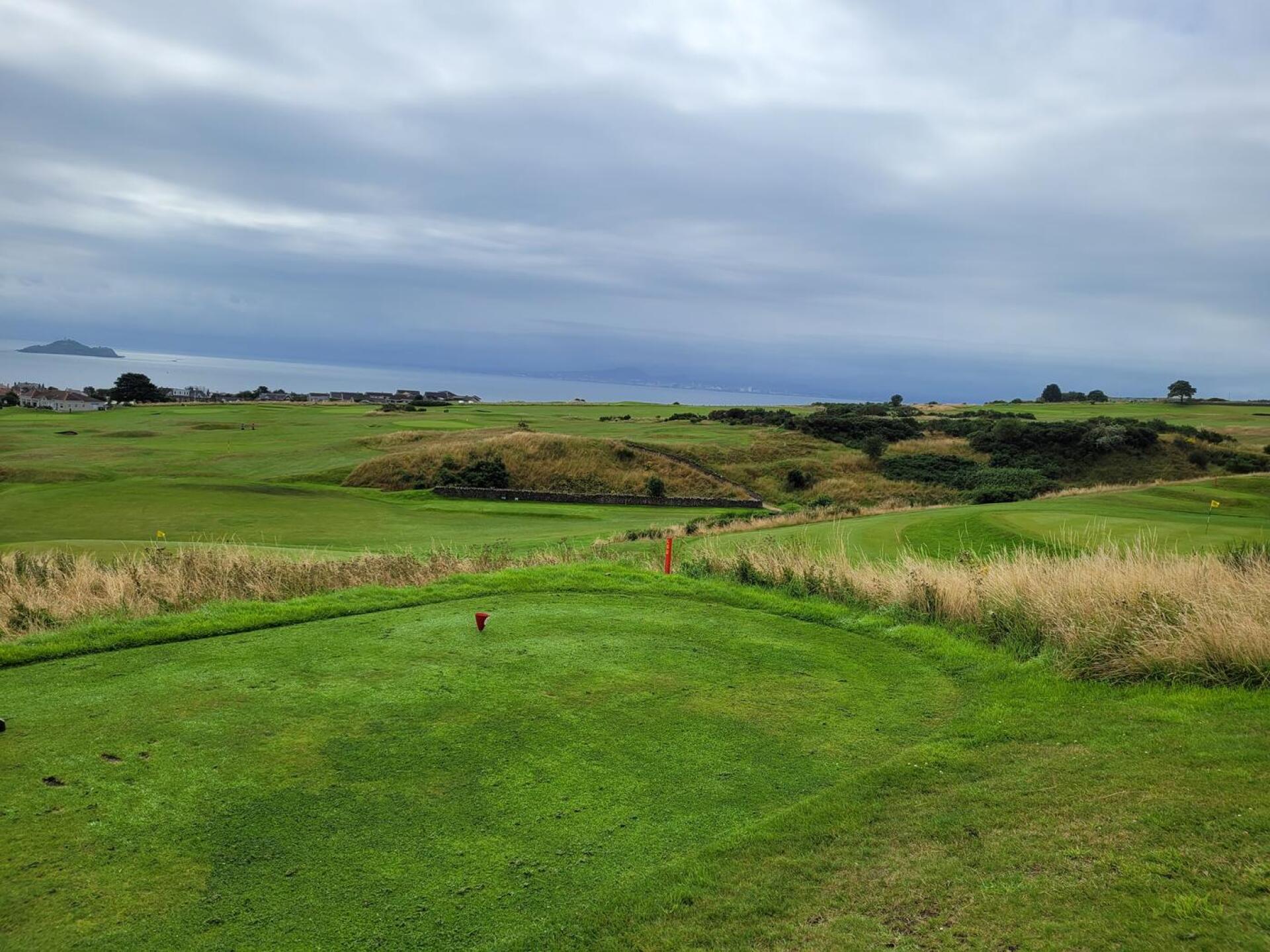 (Photo submitted by u169272024 on 08/03/2023)