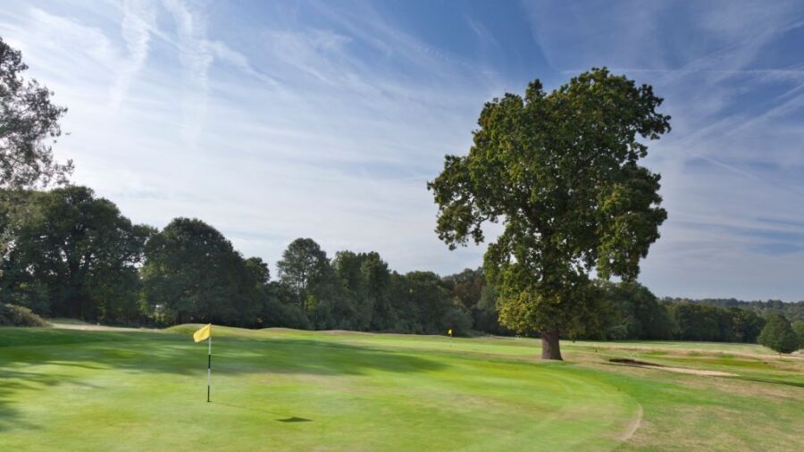 Richmond Park GC - Duke's: #3