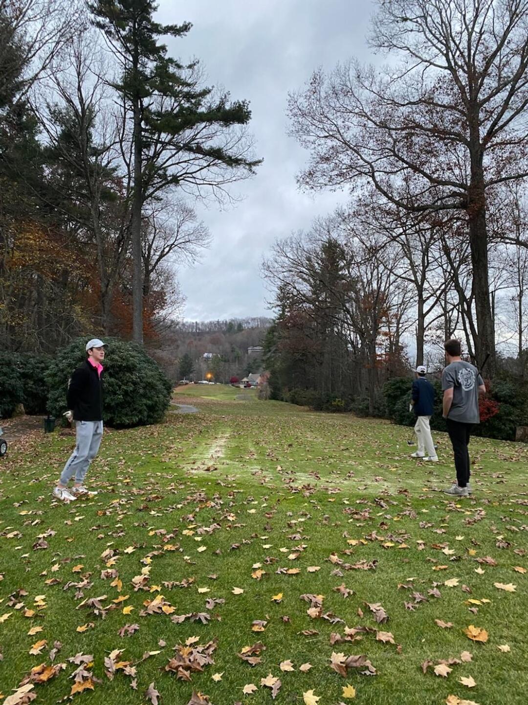 (Photo submitted by LocalHoney on 11/04/2022)