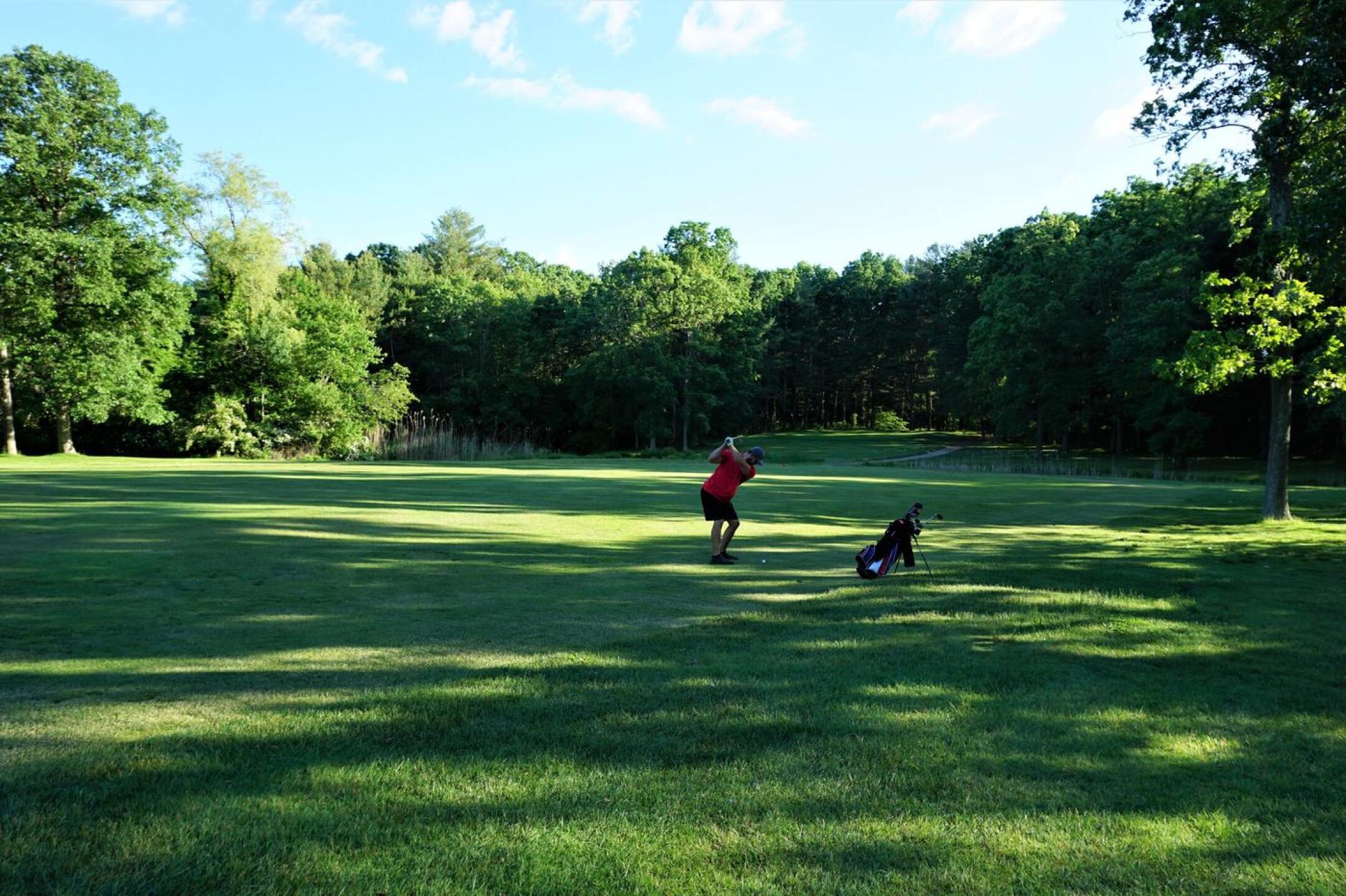 Ambitious golfer plays before the crowd, early morning of June 12th. (Photo submitted by AptlyLinked on 07/09/2020)