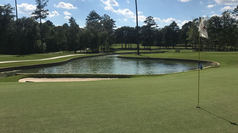 Cedar Valley GC: #15
