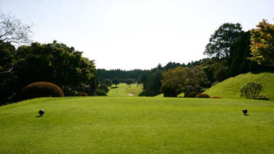 GC Narita Hightree: #5