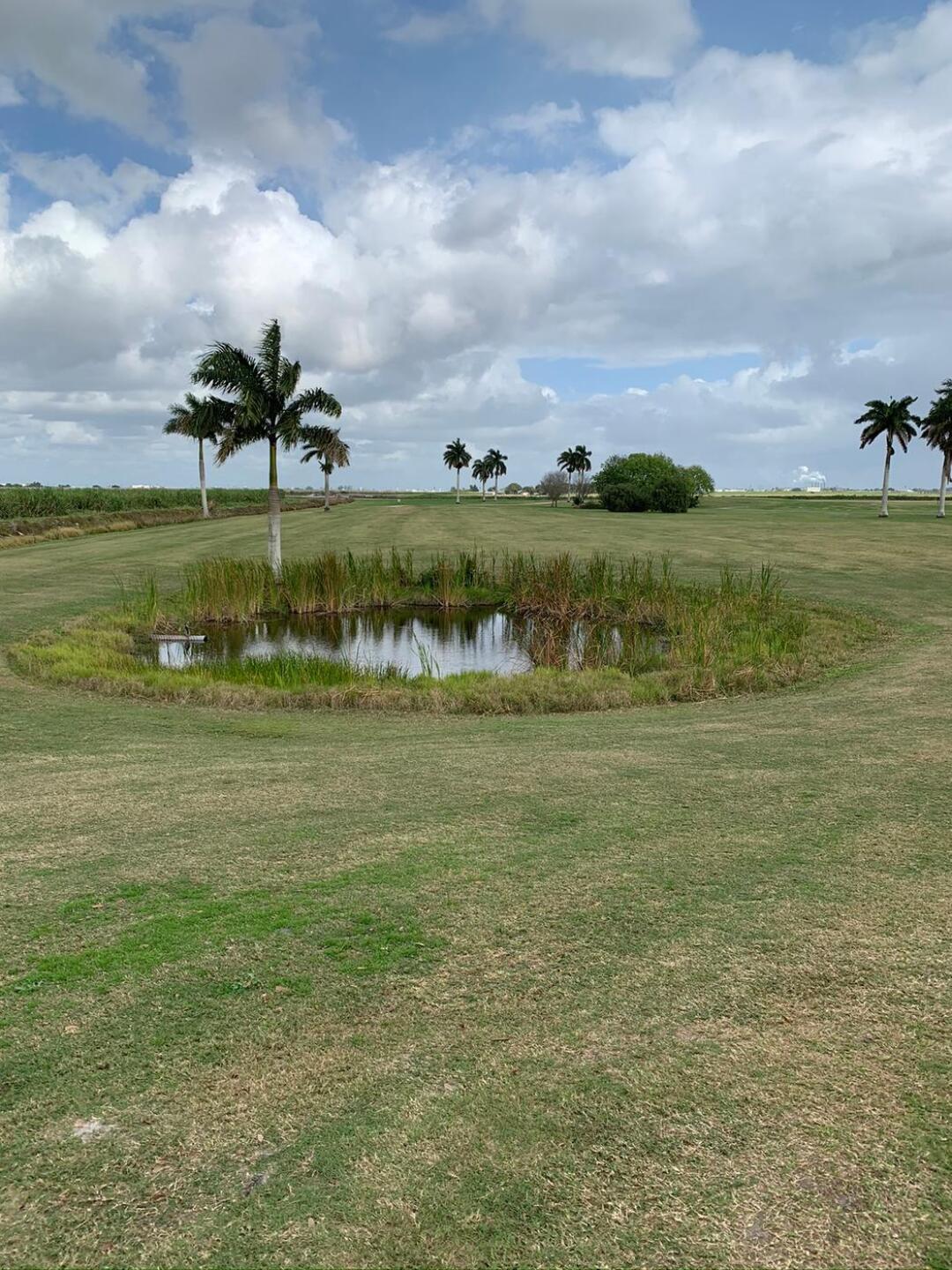 (Photo submitted by Jamielajoie on 02/10/2020)