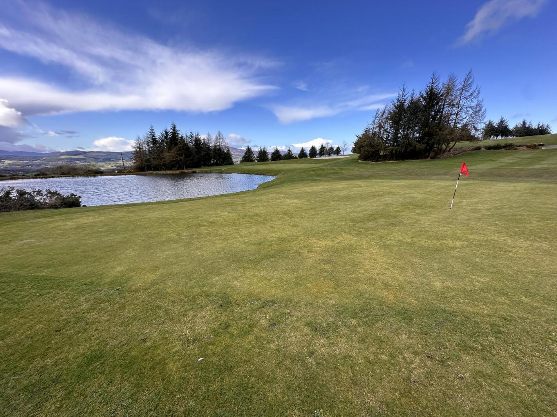 (Photo submitted by u314165746007 on 03/29/2025)