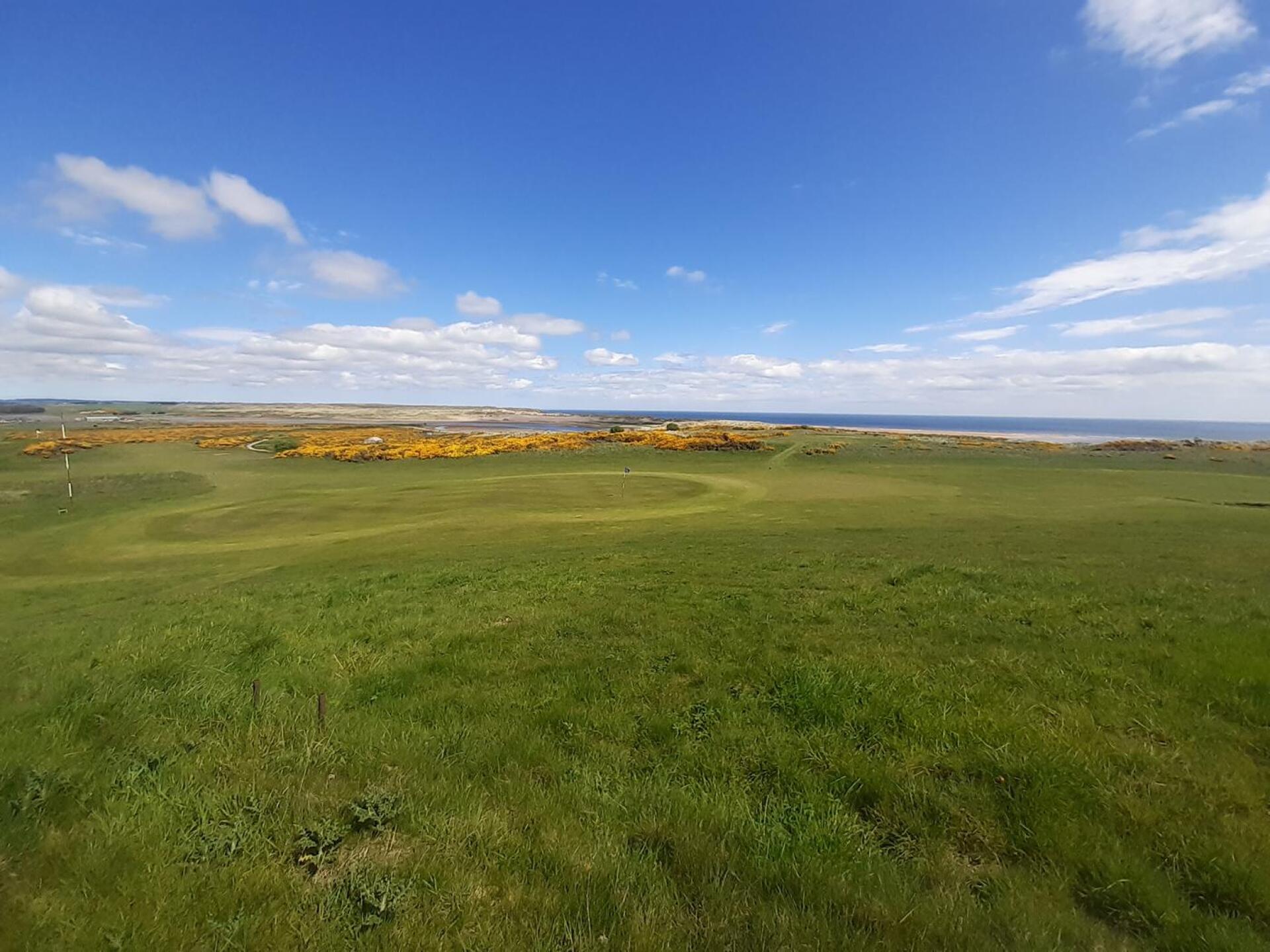 (Photo submitted by u314160288946 on 05/24/2023)