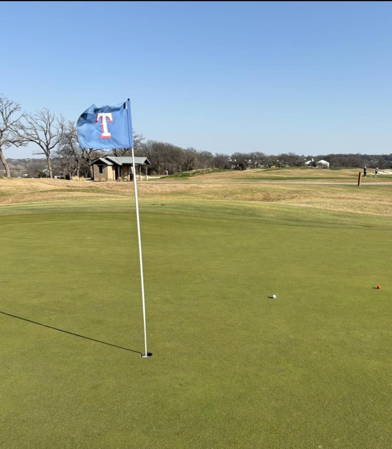 (Photo submitted by gn22869178 on 03/02/2026)