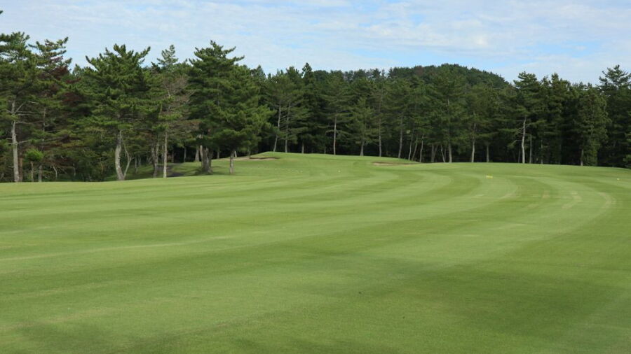 Omotezao Kokusai GC - East: #1