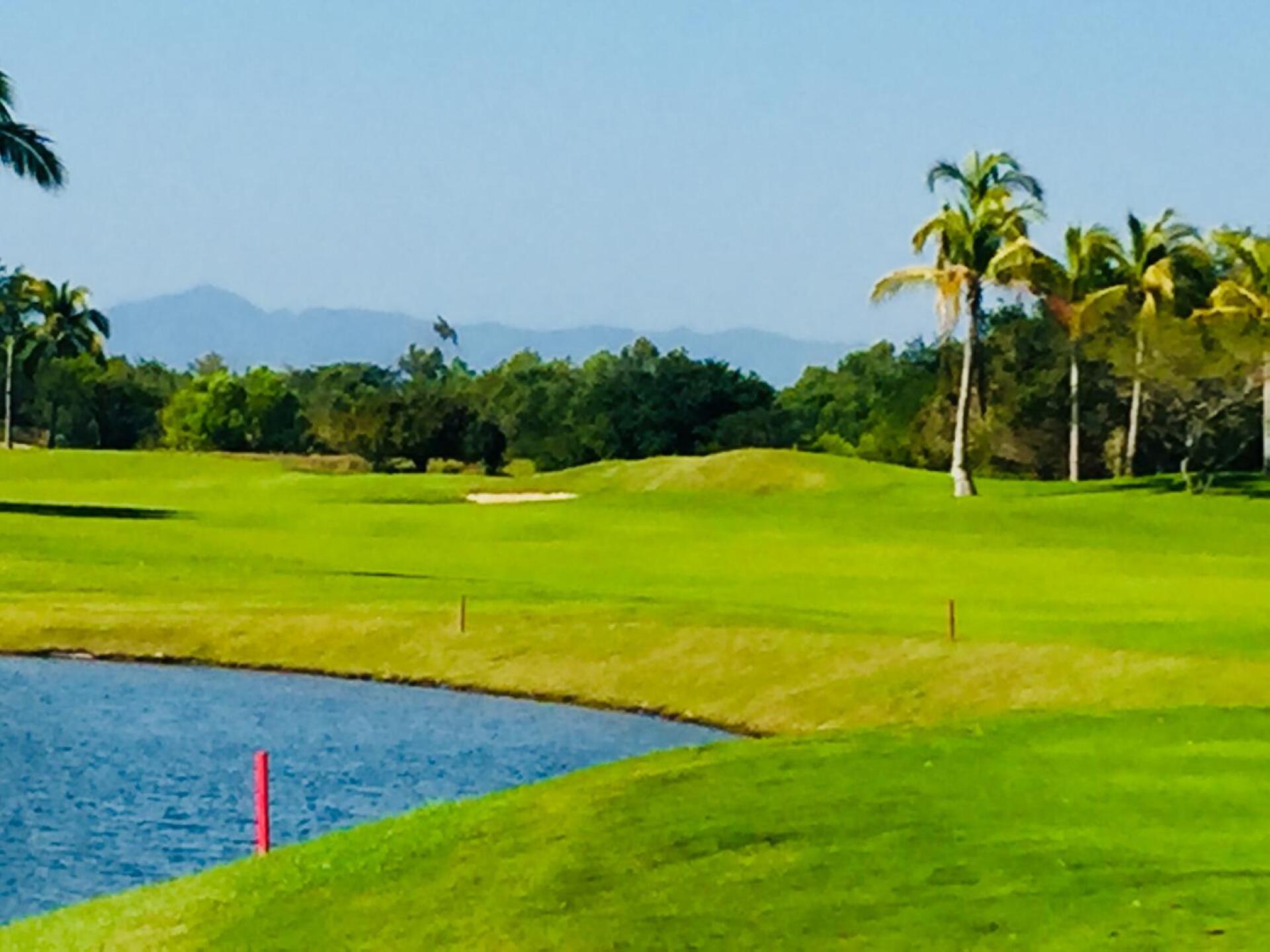 (Photo submitted by TroyJames on 01/14/2018)