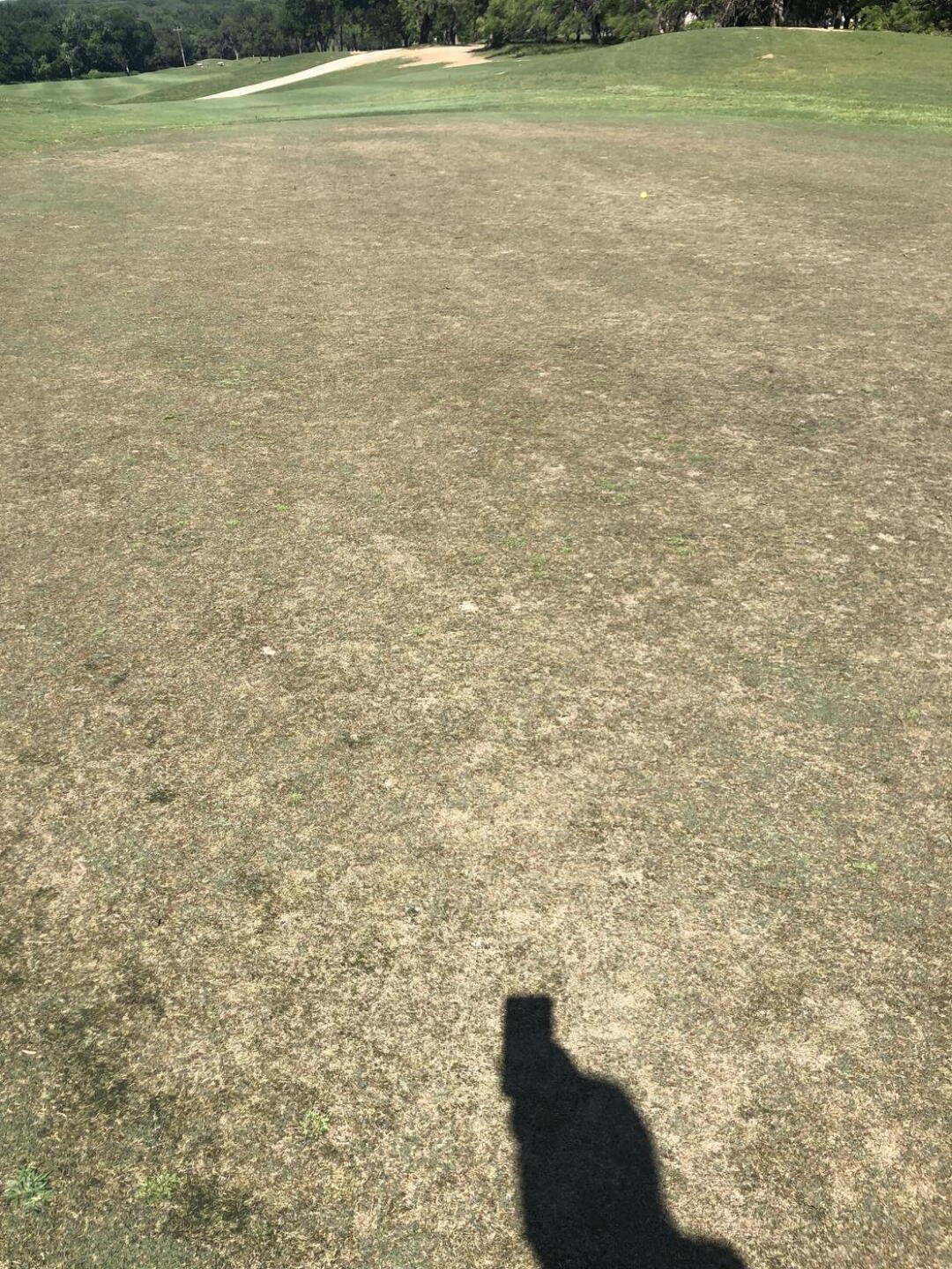 Typical green (Photo submitted by dsV2hEIIJ8OMkxwy5R37 on 04/29/2023)