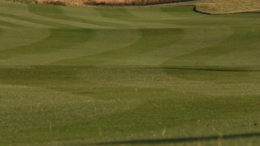 Gene Torres GC at Highlands University: #8