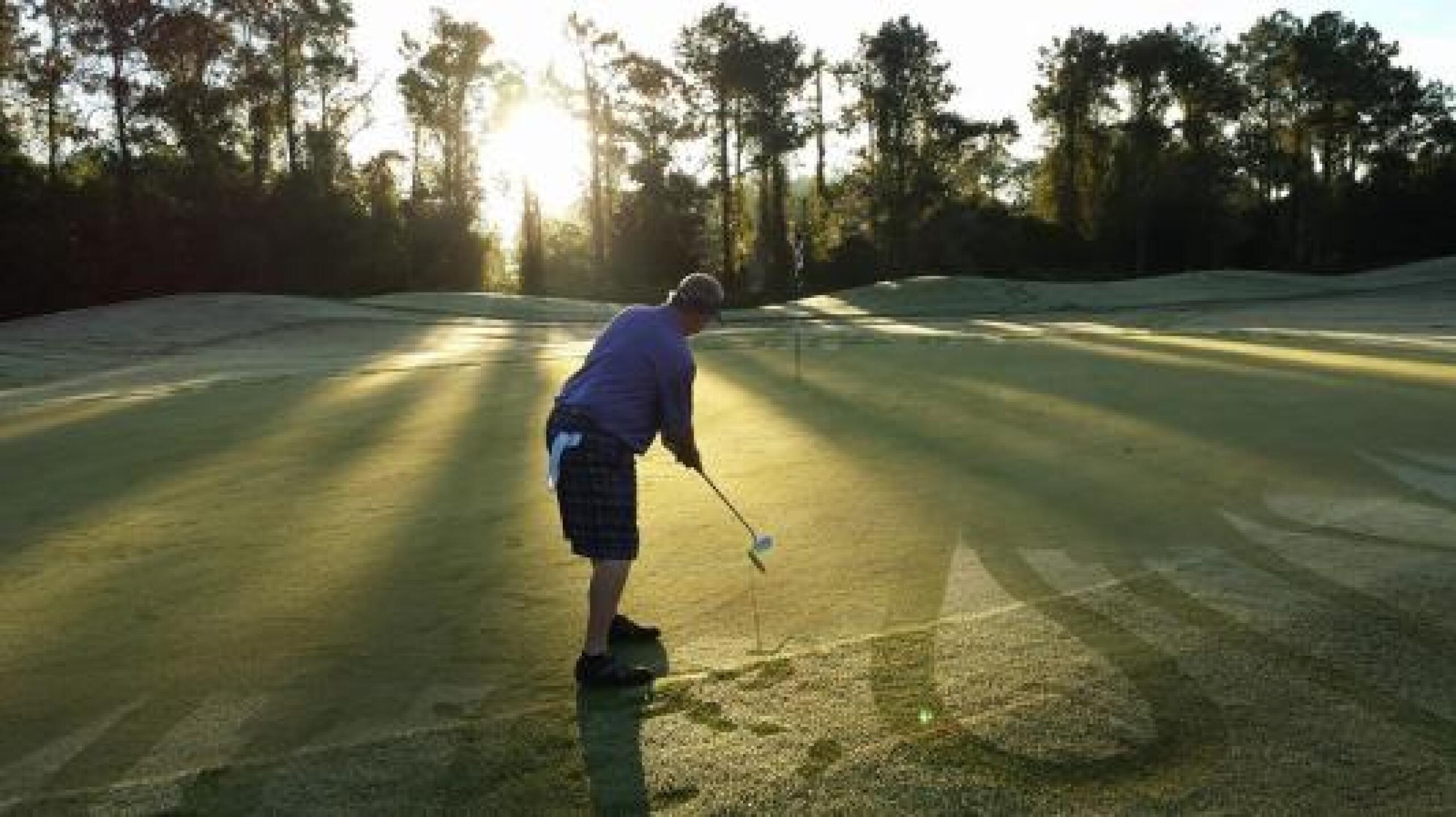 (Photo submitted by 23GreyGhost45 on 10/06/2013)