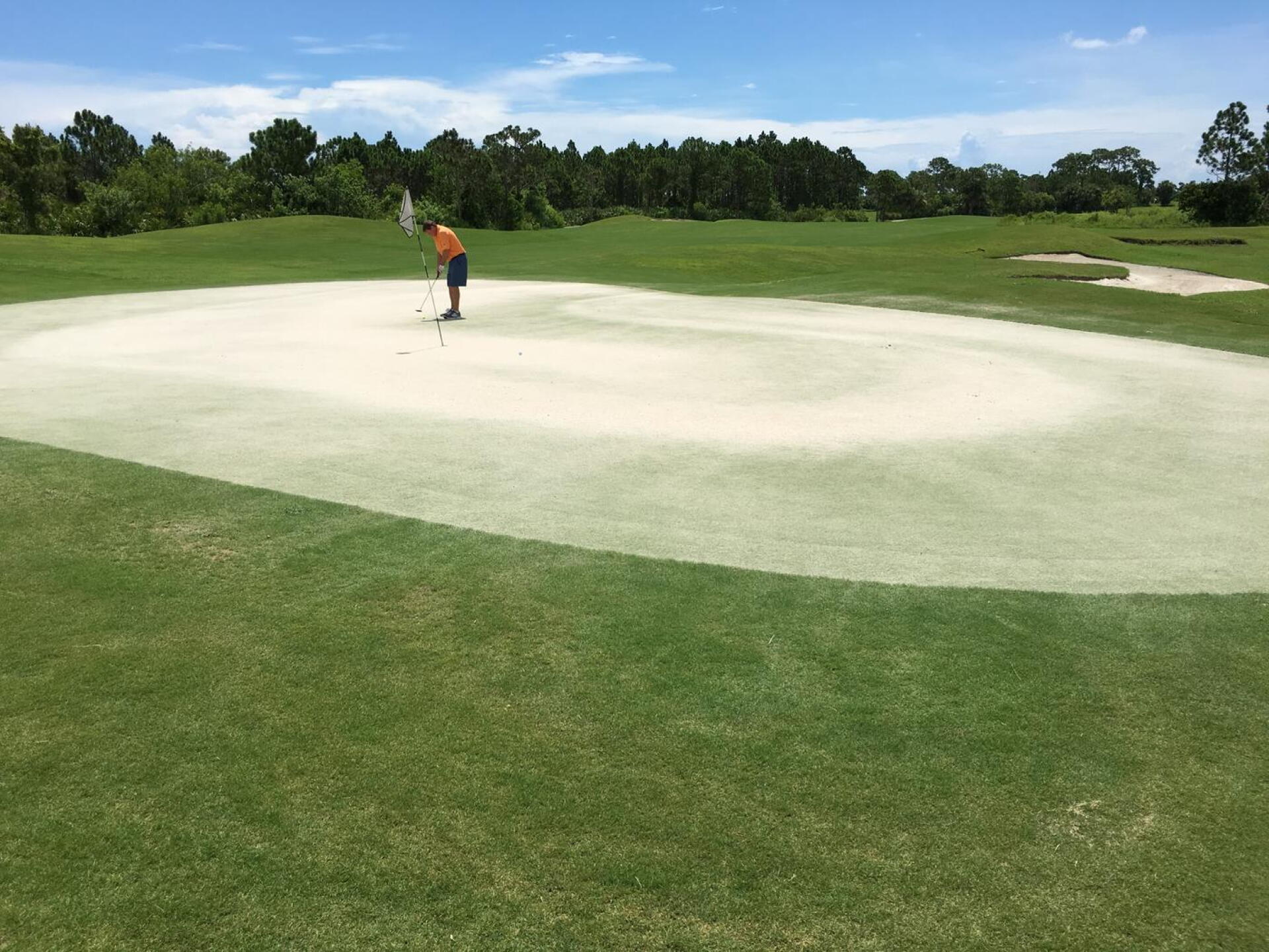 This is the first green. (Photo submitted by steve4nier on 07/17/2017)