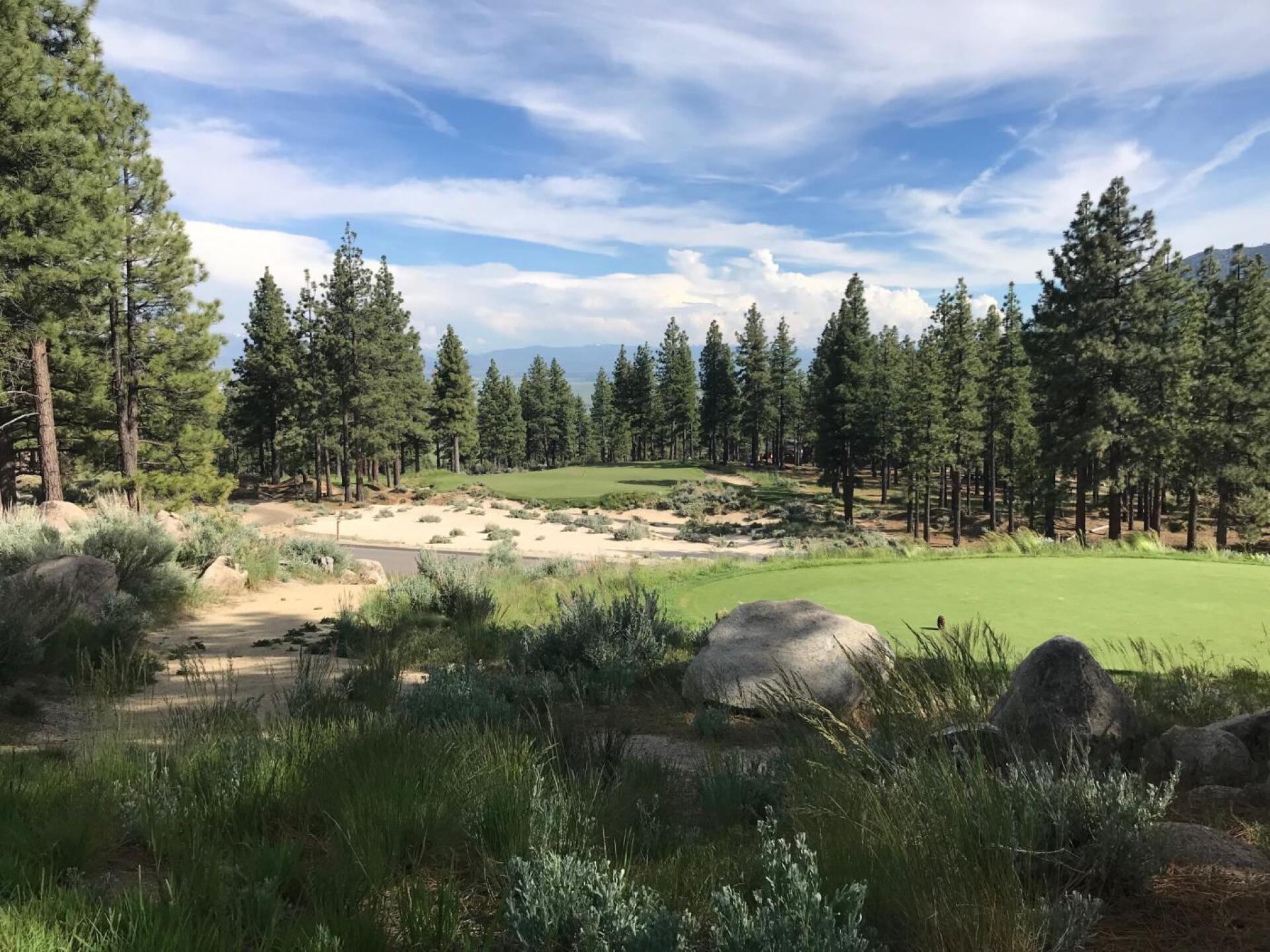 (Photo submitted by JasonDeeganGA on 06/12/2019)