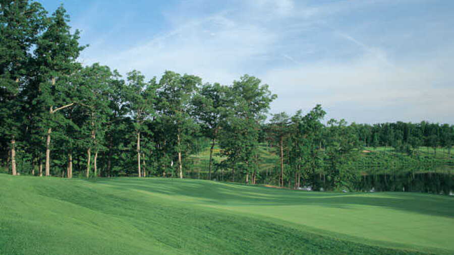 Virginia Oaks GC: #3